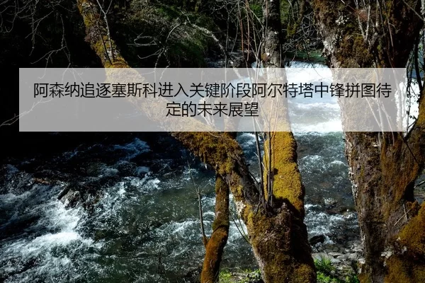 阿森纳追逐塞斯科进入关键阶段阿尔特塔中锋拼图待定的未来展望