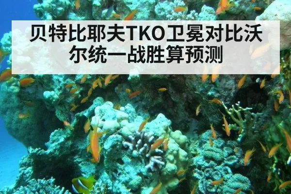 贝特比耶夫TKO卫冕对比沃尔统一战胜算预测